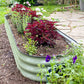 🔥Free Shipping🔥 Metal Raised Garden Beds