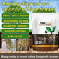 Strong Rooting Powder Microbial Fertilizer