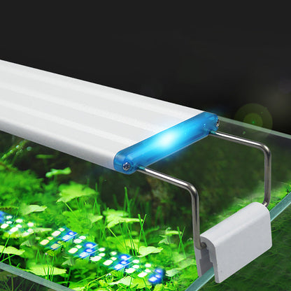 [Creative Gift] Fish Tank Stand LED Light