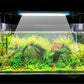 [Creative Gift] Fish Tank Stand LED Light